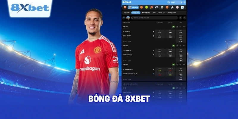 Các loại kèo cược tại thể thao 8XBET